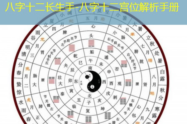  八字十二长生手-八字十二宫位解析手册