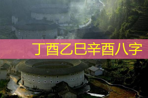  丁酉乙巳辛酉八字