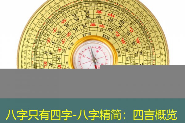  八字只有四字-八字精简：四言概览