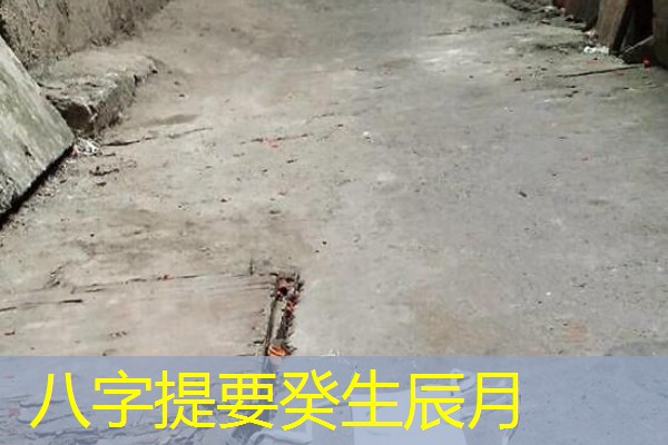  八字提要癸生辰月
