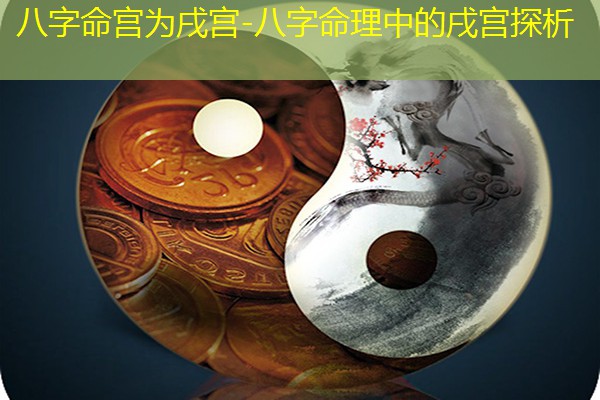  八字命宫为戌宫-八字命理中的戌宫探析