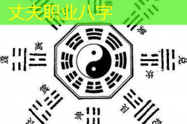  丈夫职业八字