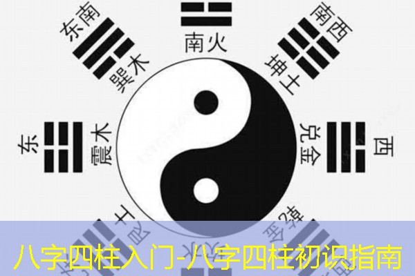  八字四柱入门-八字四柱初识指南