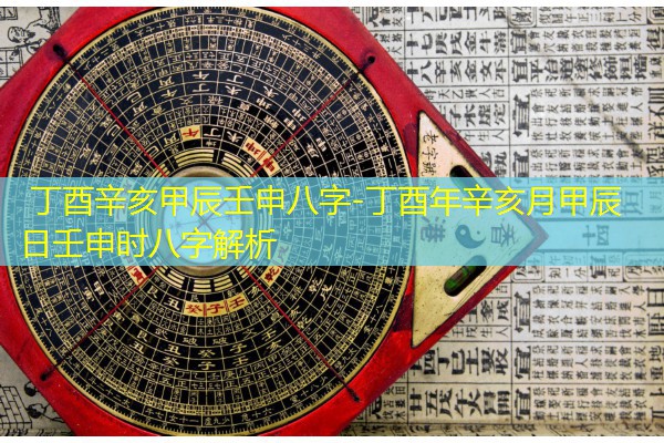  丁酉辛亥甲辰壬申八字-丁酉年辛亥月甲辰日壬申时八字解析