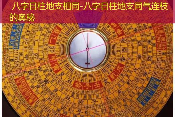  八字日柱地支相同-八字日柱地支同气连枝的奥秘