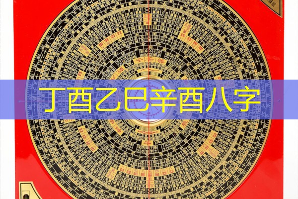  丁酉乙巳辛酉八字