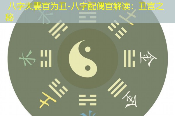  八字夫妻宫为丑-八字配偶宫解读：丑宫之秘