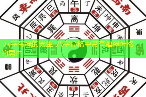  八字带禄的男生-八字命格中带有福禄神格的男性
