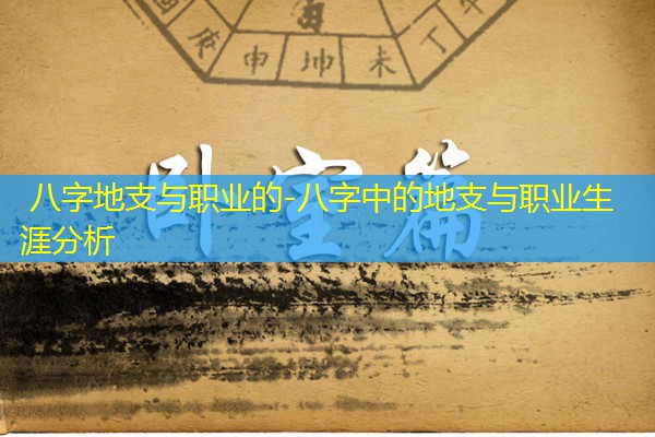  八字地支与职业的-八字中的地支与职业生涯分析
