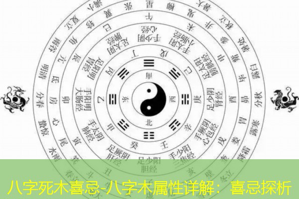  八字死木喜忌-八字木属性详解：喜忌探析