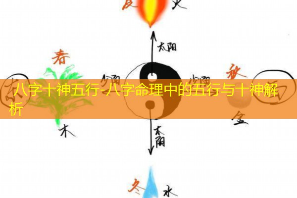  八字十神五行-八字命理中的五行与十神解析