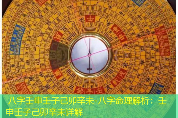  八字壬申壬子己卯辛未-八字命理解析：壬申壬子己卯辛未详解