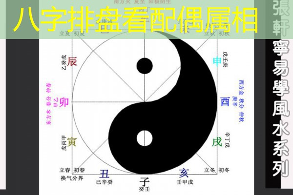  八字排盘看配偶属相