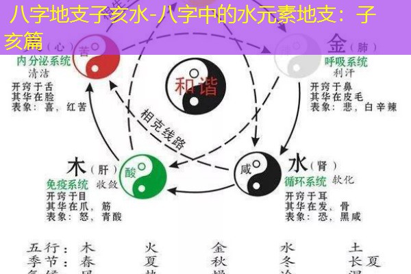  八字地支子亥水-八字中的水元素地支：子亥篇