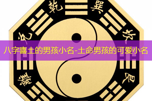  八字喜土的男孩小名-土命男孩的可爱小名