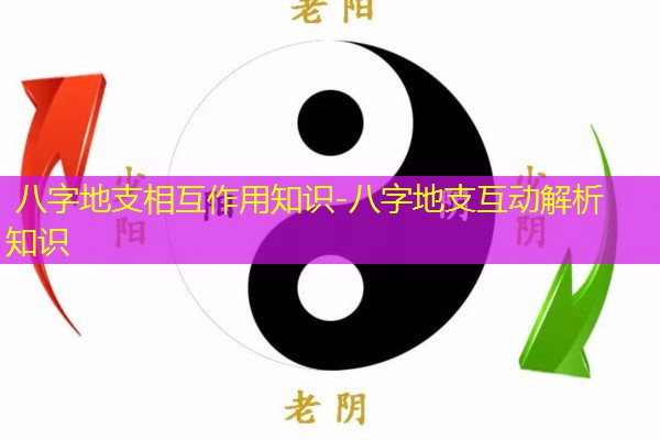  八字地支相互作用知识-八字地支互动解析知识