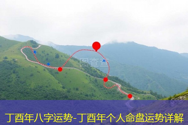  丁酉年八字运势-丁酉年个人命盘运势详解