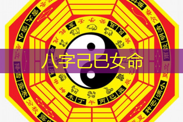  八字己巳女命
