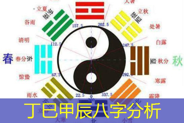  丁巳甲辰八字分析