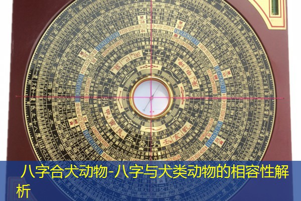  八字合犬动物-八字与犬类动物的相容性解析