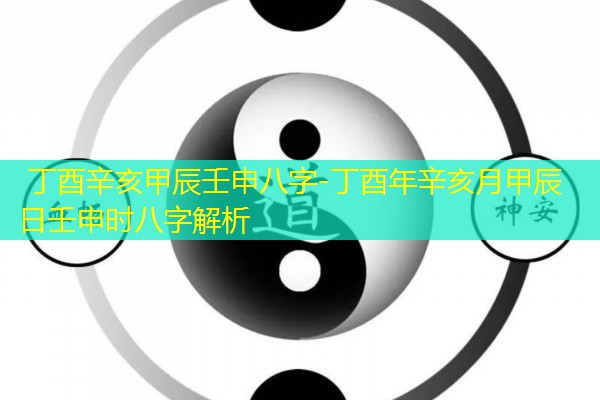  丁酉辛亥甲辰壬申八字-丁酉年辛亥月甲辰日壬申时八字解析