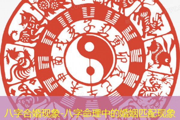  八字合婚现象-八字命理中的婚姻匹配现象