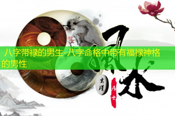  八字带禄的男生-八字命格中带有福禄神格的男性