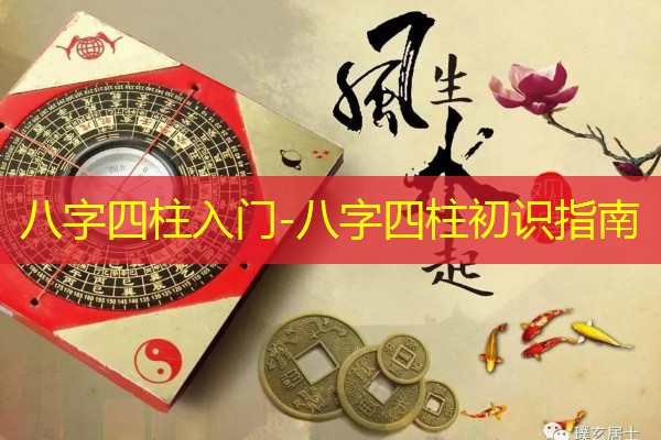  八字四柱入门-八字四柱初识指南