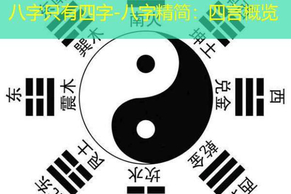 八字只有四字-八字精简：四言概览