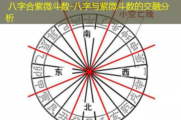  八字合紫微斗数-八字与紫微斗数的交融分析