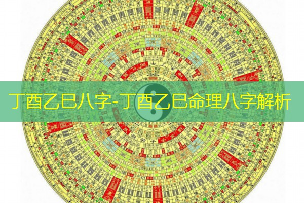  丁酉乙巳八字-丁酉乙巳命理八字解析