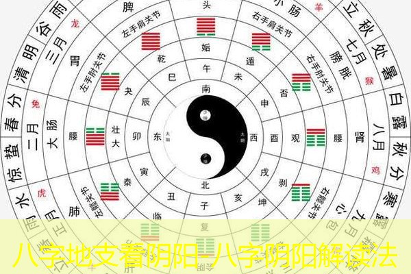  八字地支看阴阳-八字阴阳解读法