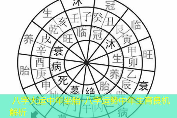  八字大运中年坐胎-八字运势中年生育良机解析