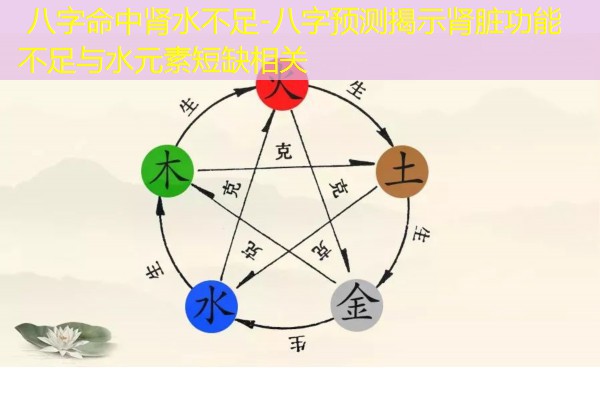  八字命中肾水不足-八字预测揭示肾脏功能不足与水元素短缺相关
