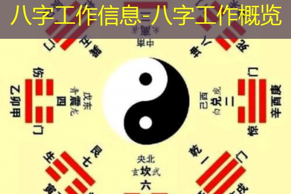  八字工作信息-八字工作概览