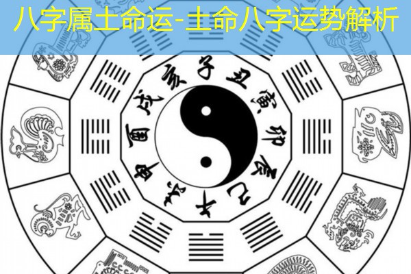  八字属土命运-土命八字运势解析