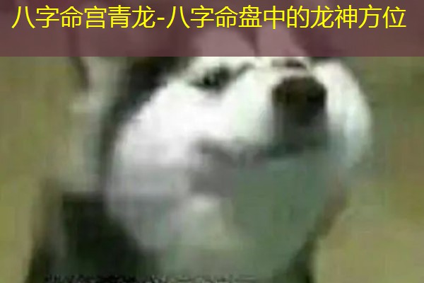  八字命宫青龙-八字命盘中的龙神方位