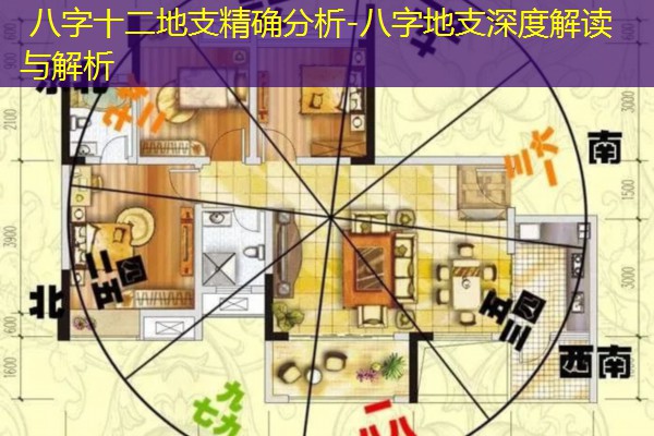  八字十二地支精确分析-八字地支深度解读与解析