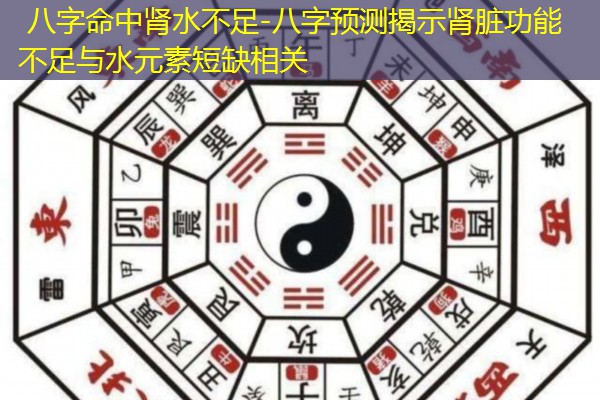  八字命中肾水不足-八字预测揭示肾脏功能不足与水元素短缺相关