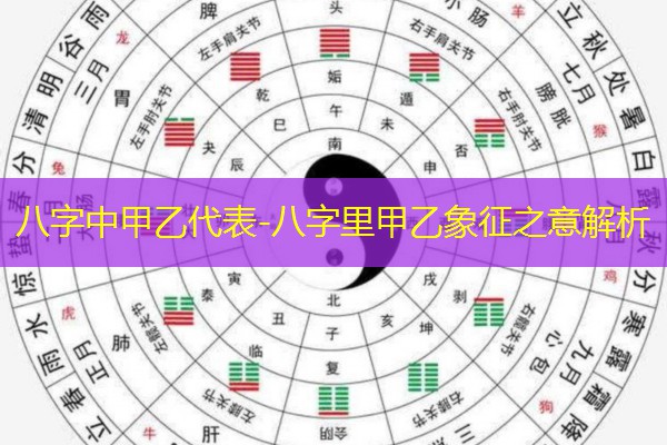  八字中甲乙代表-八字里甲乙象征之意解析