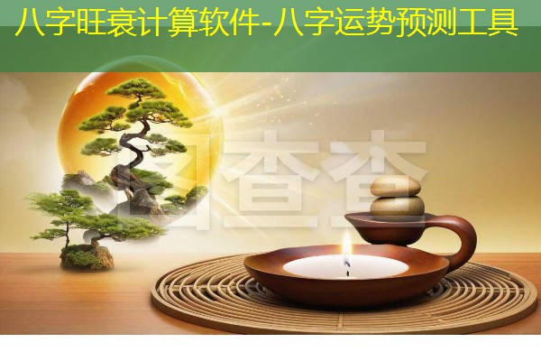  八字旺衰计算软件-八字运势预测工具