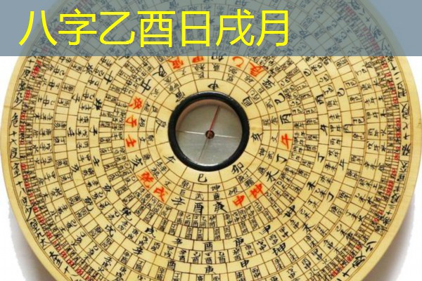  八字乙酉日戌月