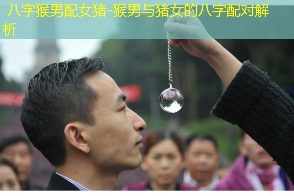  八字猴男配女猪-猴男与猪女的八字配对解析