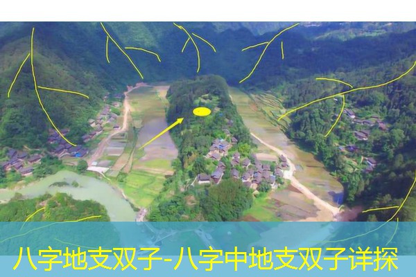  八字地支双子-八字中地支双子详探