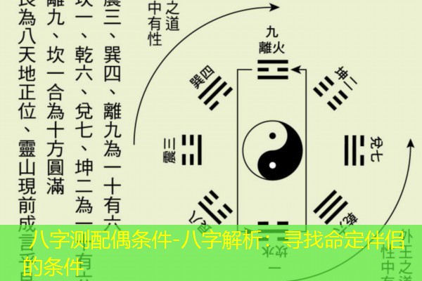  八字测配偶条件-八字解析：寻找命定伴侣的条件