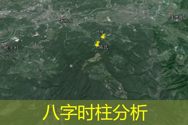  八字时柱分析
