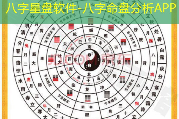  八字星盘软件-八字命盘分析APP