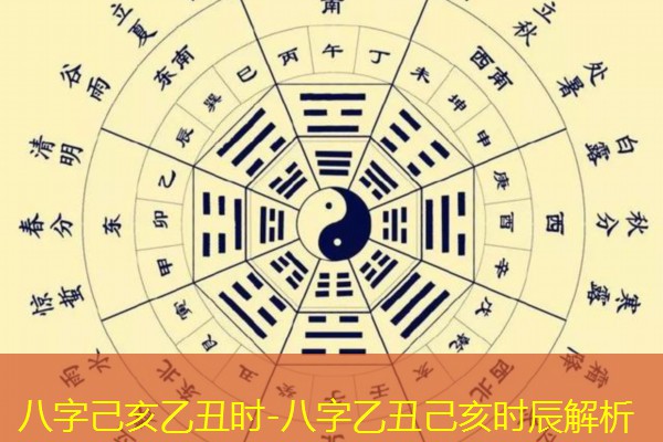  八字己亥乙丑时-八字乙丑己亥时辰解析