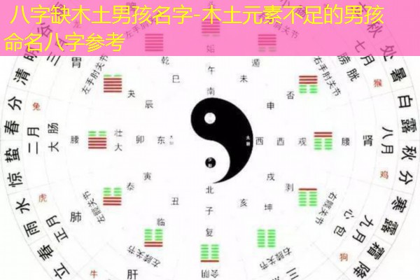  八字缺木土男孩名字-木土元素不足的男孩命名八字参考