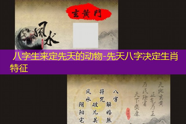  八字生来定先天的动物-先天八字决定生肖特征